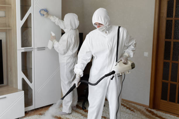 Best Mold Removal Process  in Naranja, FL